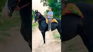 #khushbrar