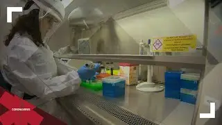 Here are the rules for a coronavirus quarantine in Denver