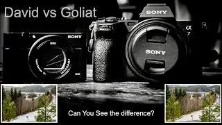 Sony RX 100 III vs Sony A7IIII, one picture