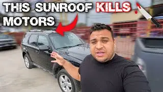FORD ESCAPE SUNROOF KEEPS BURNING MOTORS DIAGNOSIS