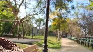 Ems Birde is live! The weather is good ,birds singing #asmrsounds
