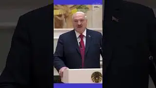 Лукашенко назвал Зеленского гнидой #shorts