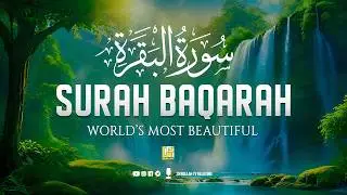 Surah Al-Baqarah Full (سورة البقرة) | ULTIMATE Majestic Heart-Touching Quran Recitation #baqarah