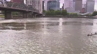 Code Brown: Heavy rains force sewage into the Willamette River
