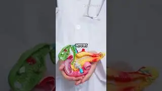 #facts  #science #3danimation #insulin #diabetes #sugarfree #sciencefacts #scienceexperiment #gk