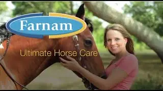 Ultimate Horse Care - Fly Control 101