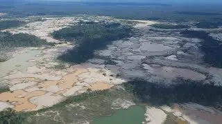 Scientists help prevent further destruction of Peru’s Amazon forest