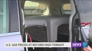 Gas prices limit pet delivery service from helping relocate animals