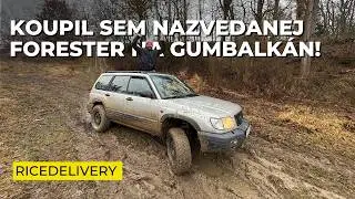 Zase jsem KOUPIL dal&scaron;&iacute; AUTO... Nazvedanej FORESTER na Gumbalk&aacute;n!