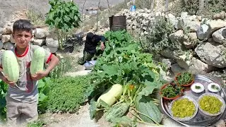 🥒 Organic pumpkin harvest🌿 How to make healthy and delicious food with mountain vegetables