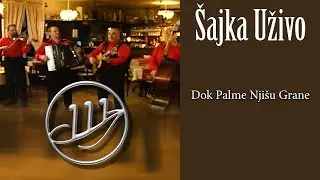 Orkestar Šajka - Dok palme njišu grane  (Official Video)