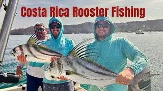 Bucket List Roosterfish from Papagayo: Offshore Action at the Four Seasons