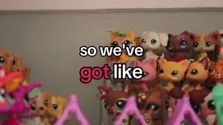 Littlest pet shop collection tour (2025 Short Version unedited)