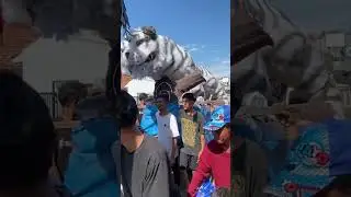 Kreasi ider ideran Arjawinangun #arakarakan #iderideran #karnaval