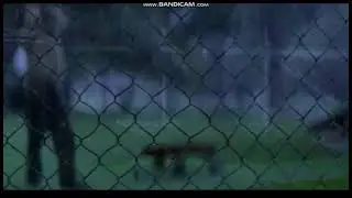 The Rookie (2002)