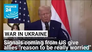 Ukraine and European allies have reasons to be worried about peace deal, expert says &bull; FRANCE 24