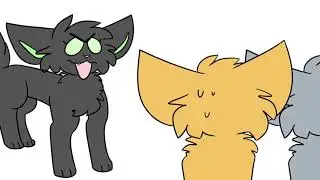 Hollyleaf's fed up (skitpost)