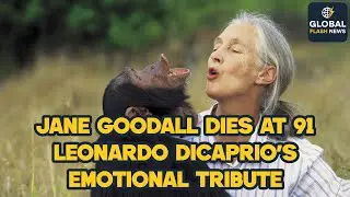 🌍 Jane Goodall Dies at 91 | Leonardo DiCaprio&rsquo;s Emotional Tribute 💔