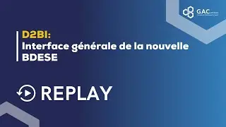 Replay Webinar - D2BI 1/4 - Interface g&eacute;n&eacute;rale de la nouvelle BDESE