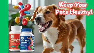 ［Pet news］Pet Supplements Boom: The Rise of Probiotics and Gut Health for Pets