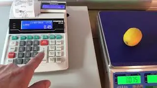 Cantar SWS  conectat la casa de marcat DATECS.