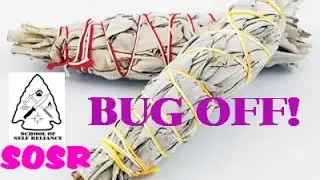 Bug Off! Insect Repellents