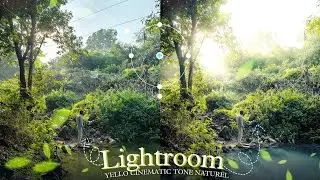 Nature cinematic Green Tone Photo Editing Lightroom Free Preset ! uxdpictures 