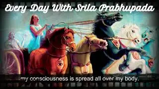 This body is perishable, but that consciousness is imperishable, eternal.
