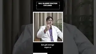 GALL BLADDER FUNCTION EXPLAINED