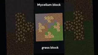minecraft grass vs Mycelium