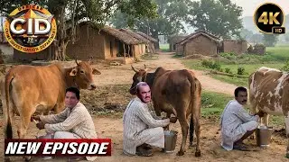 दूध बेचने वाली बनकर CID Team ने शुरू की गुप्त निगरानी | CID New Episodes 2026
