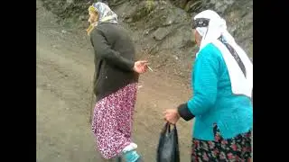 Şahin Acar