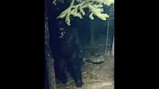 Нам лгали. Этот пугающий новый клип показывает то, чего никто не ожидал!