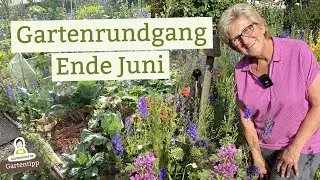 So siehts Ende Juni im Garten aus - Blumen- und Gemüsebeete, Obstbäume und Sträucher