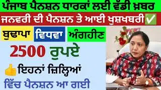 2500 ਪੈਨਸ਼ਨ #2500Pension #pension #bhagwantmann #oldagepension #punjabinews #punjabnaws #todaynews