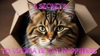 5 Secrets to Ultimate Cat Happiness Revealed! 🐱✨