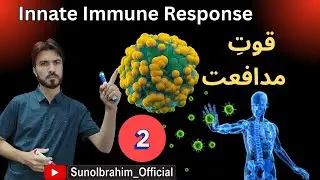 Lecture 2 &ndash; Innate Immunity & Inflammatory Response with Complement System