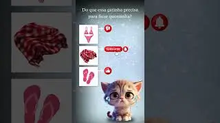 #bikini #cobertor ou #chinelos ? Do que a #gatinha precisa para ficar #quentinha ?