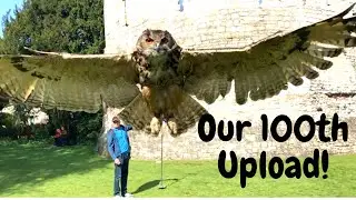 Our 100th Upload! Will Henrietta the Eagle Owl break the iPhone she's about to land on?