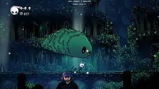 First time playing Hollow Knight on Linux [2]