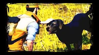 Open Country 100% Walkthrough Part 9: First Fish / Boating About Mission