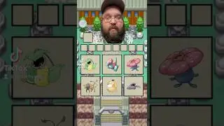 Shiny Hunting In A TikTok Filter?