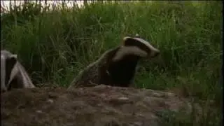 TB Eradication