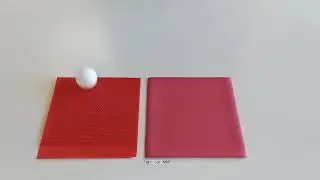 Spinlab Red Sponge with Long Pimple