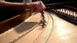CBH Harpsichord soundboard cleaning
