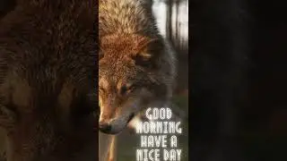 The Art of Saying 'Good Morning': How Small Gestures Make a Big Impact #youtube #hot #smille #love