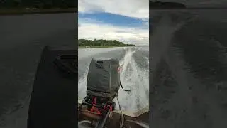 Mercury 50 HP em seu desempenho m&aacute;ximo 😱😱 #mercury #pescaria #motor