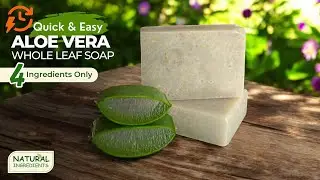 Quick and Easy Aloe vera Whole Leaf Soap