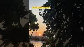 Yishun park #singaporeattractions  #khatibmrt #sunset #sunsetview