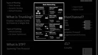 NETWORKS #hub #vlan #stp #ai #technology #networks #router #networktypes  #realnetworks #acl #switch